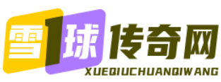 雪球搜服网